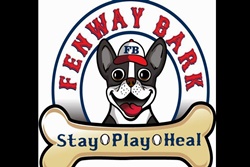 Fenway Bark pet friendly doggy day care in boston, massachusetts