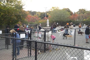 dog park in san francisco, california