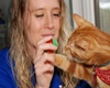 pet friendly veterinarians in mesa arizona