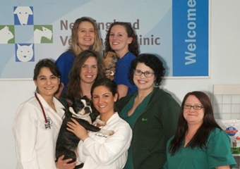 New England Veterinary Clinic pet friendly Salem, Massachusetts veterinarians