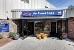 Boston Red Dog Pet Resort and Spa pet friendly boarding and grooming near Salem, Massachusetts